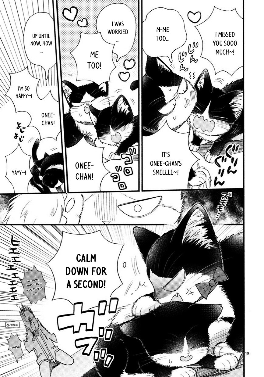 Page 4 of Chapter 9.5