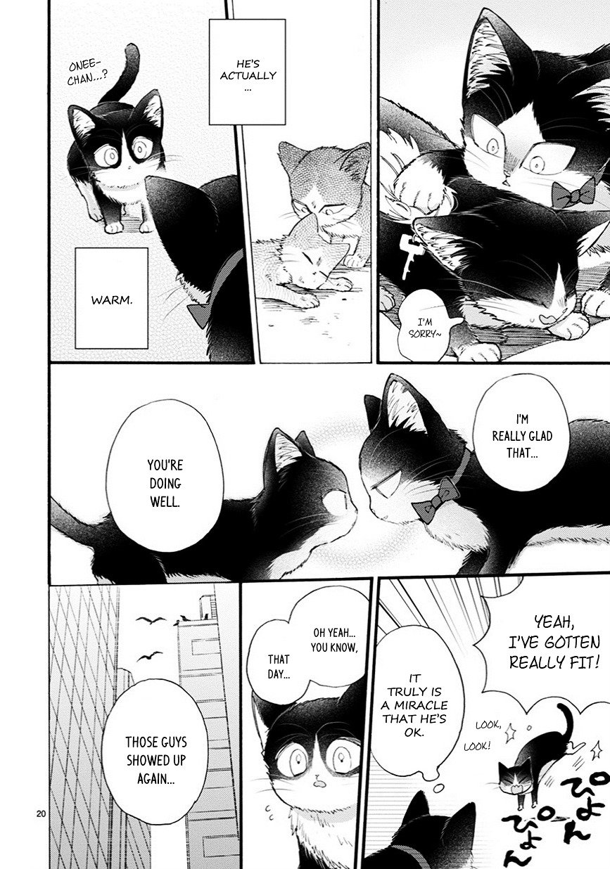 Page 5 of Chapter 9.5