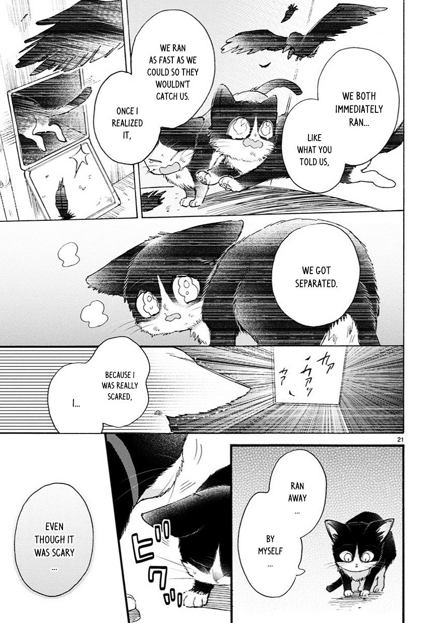 Page 6 of Chapter 9.5