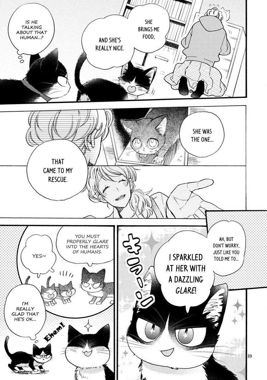 Page 8 of Chapter 9.5