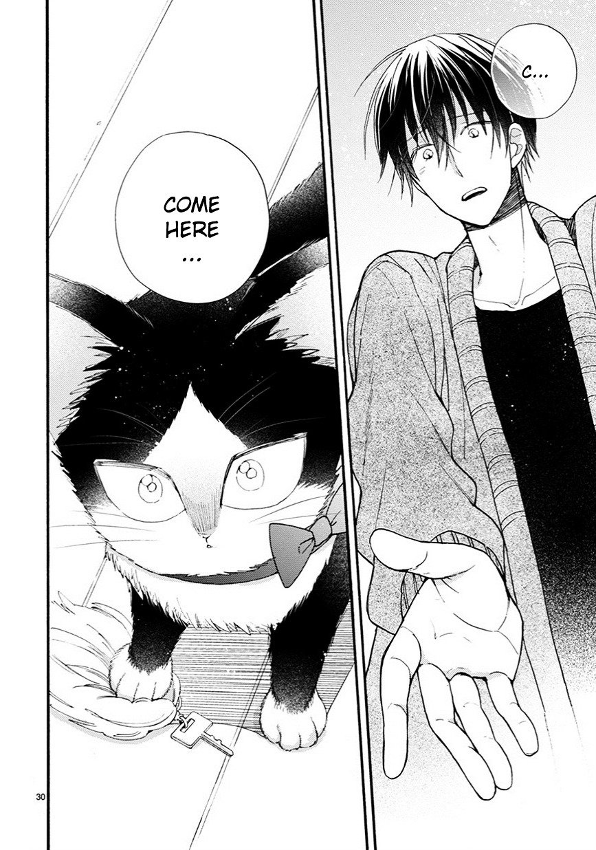 Page 15 of Chapter 9.5