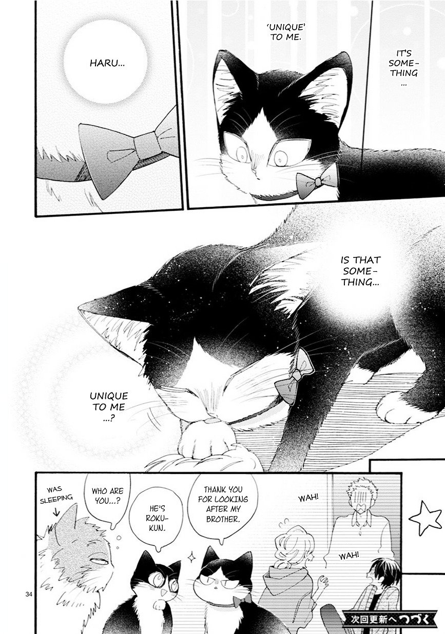 Page 19 of Chapter 9.5
