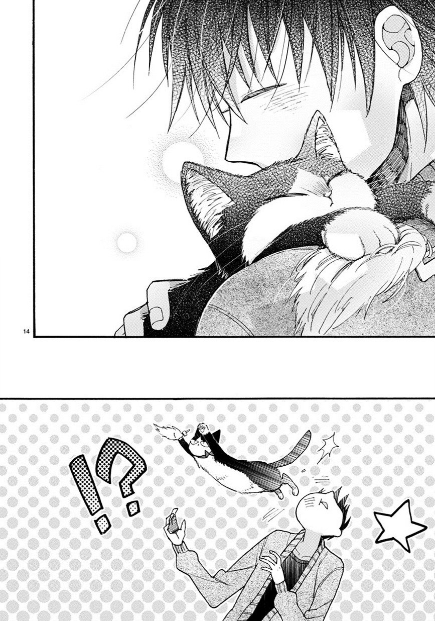 Page 15 of Chapter 9