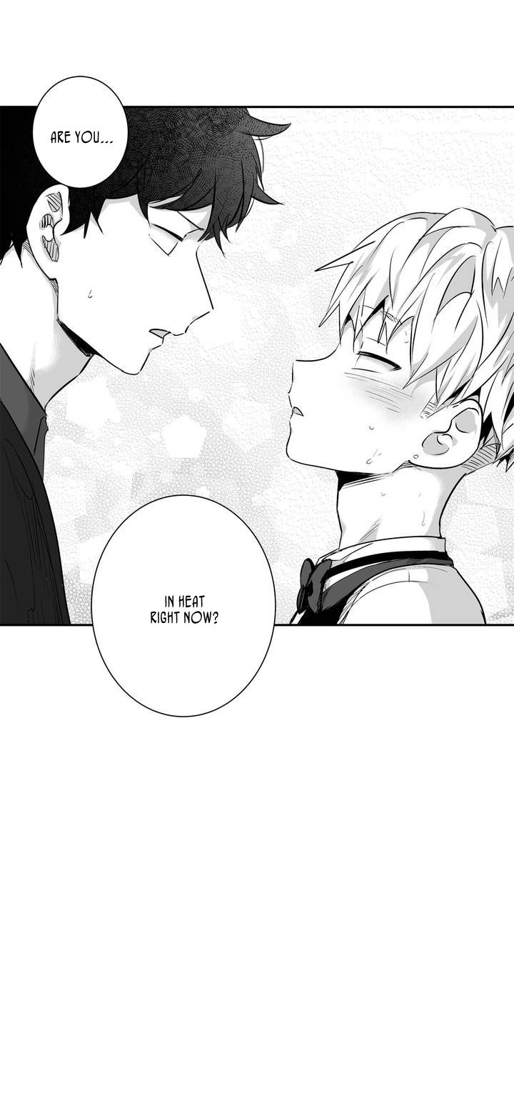 Page 22 of Chapter 1