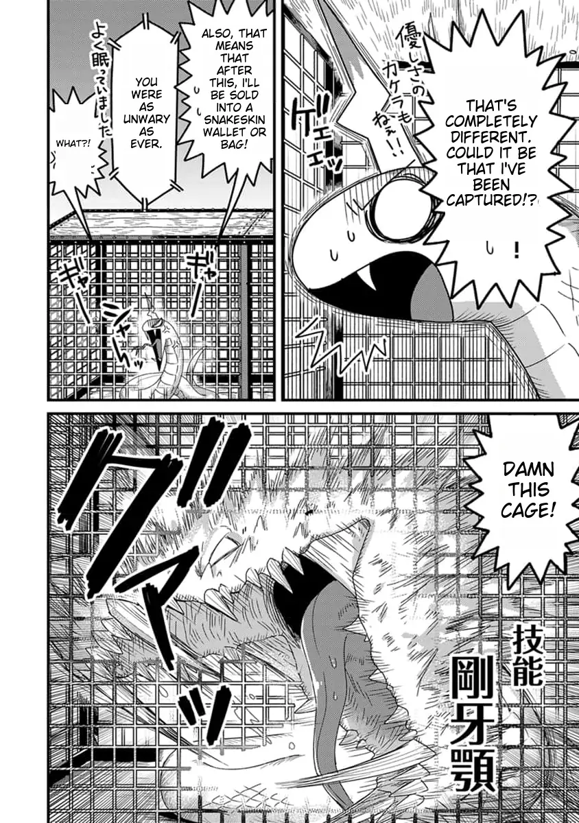 Page 23 of Chapter 11