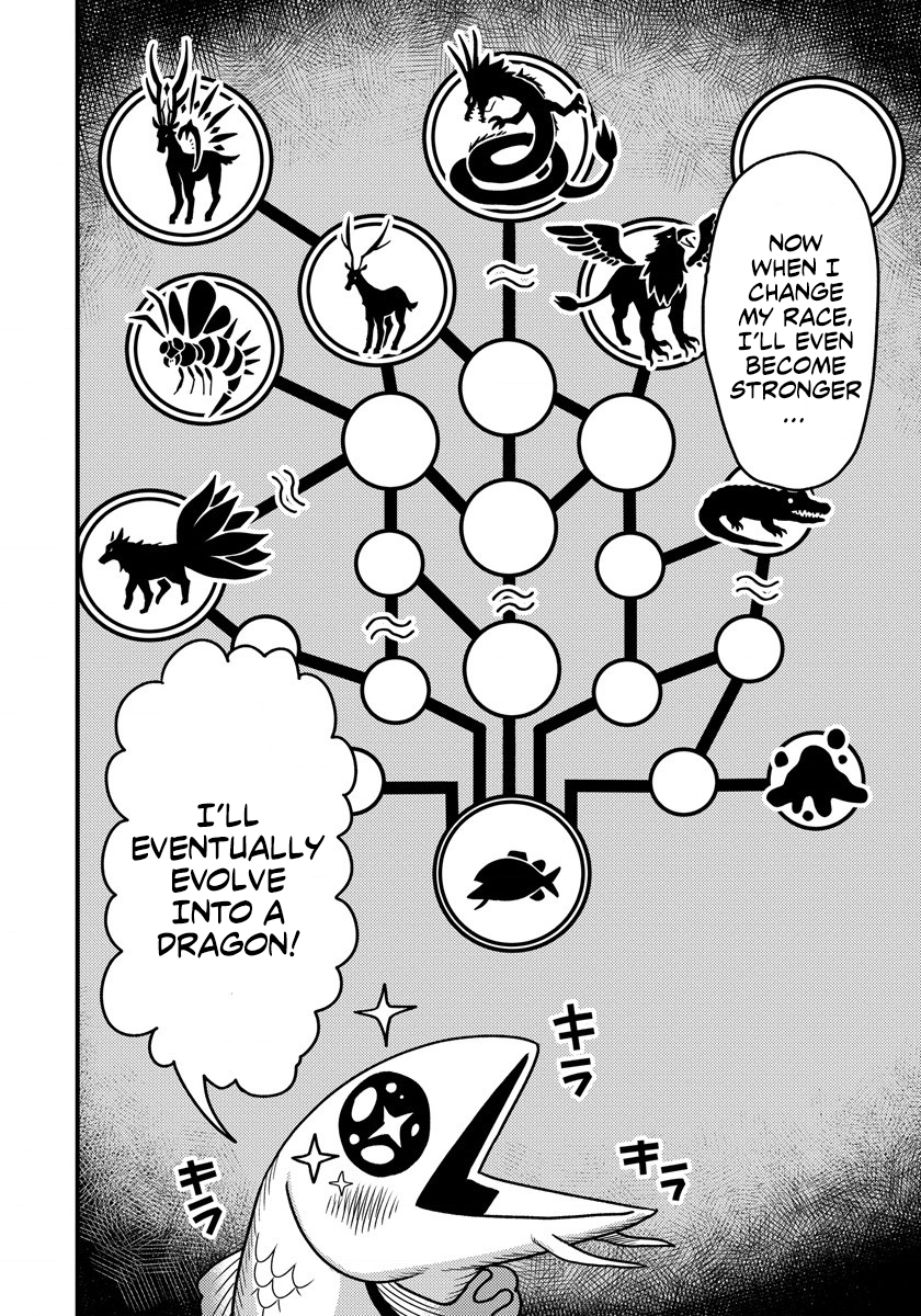 Page 11 of Chapter 3.1