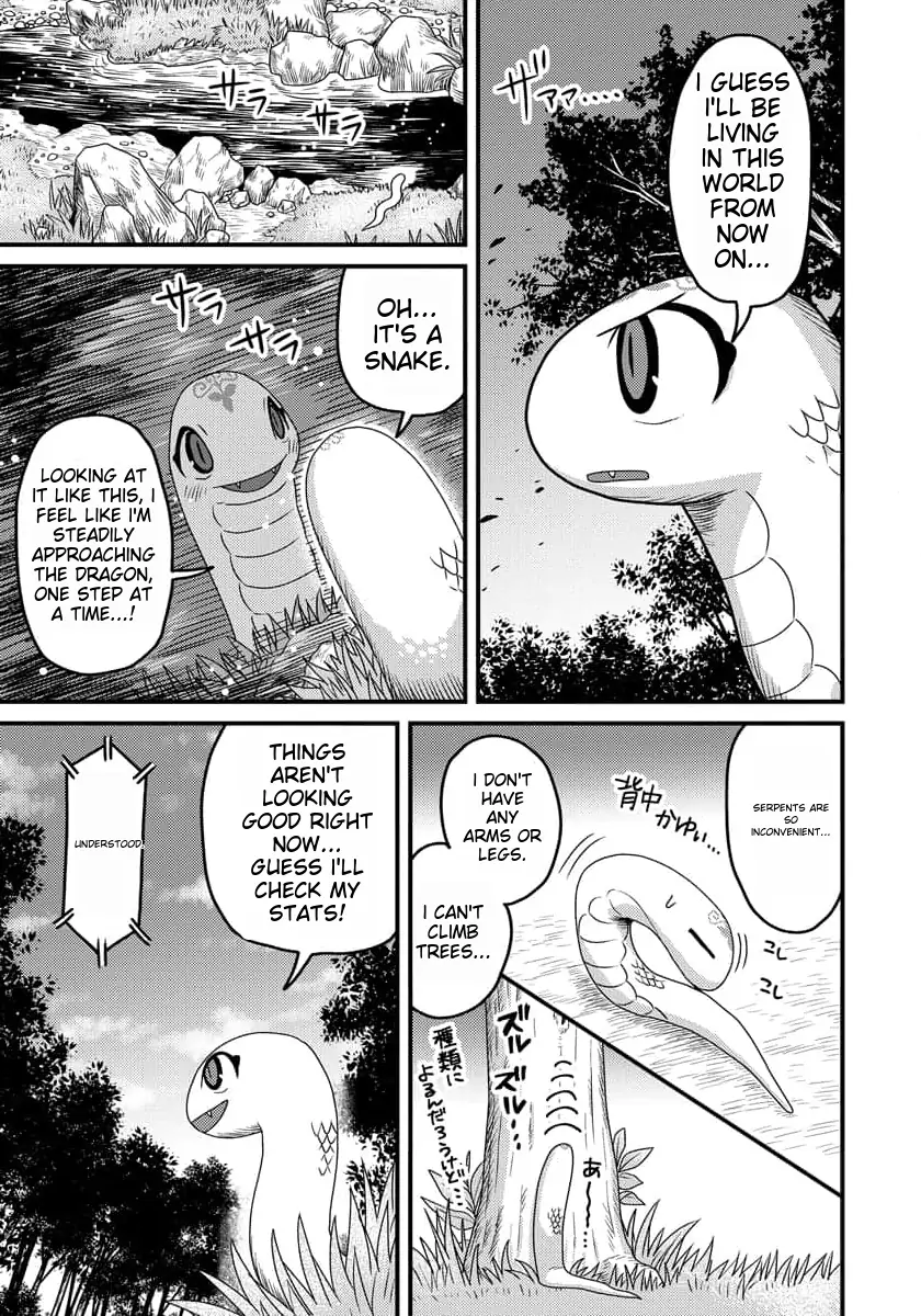 Page 8 of Chapter 7