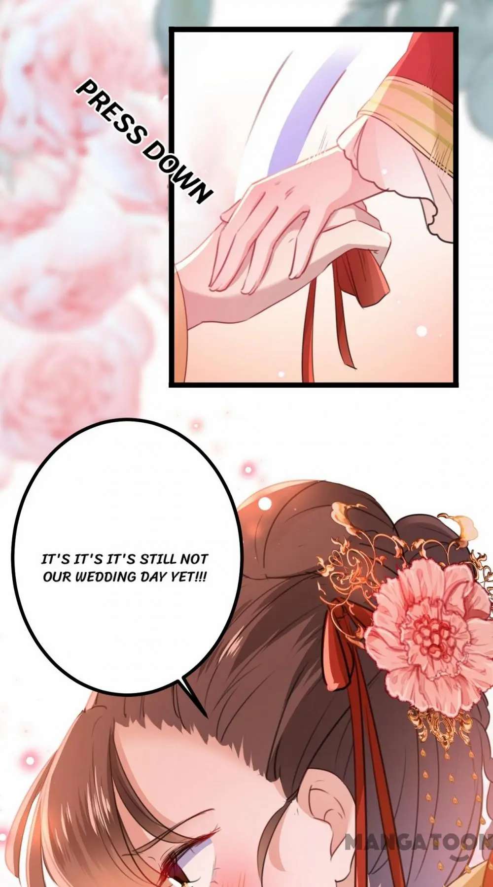 Page 43 of Chapter 206