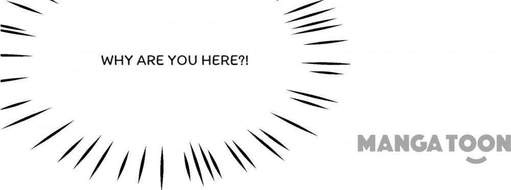 Page 41 of Chapter 254