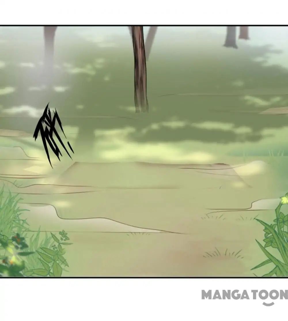 Page 19 of Chapter 40