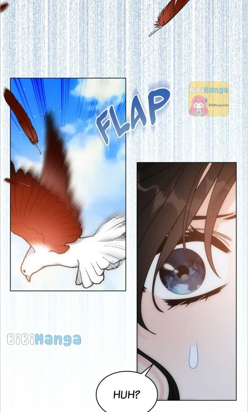 Page 27 of Chapter 58