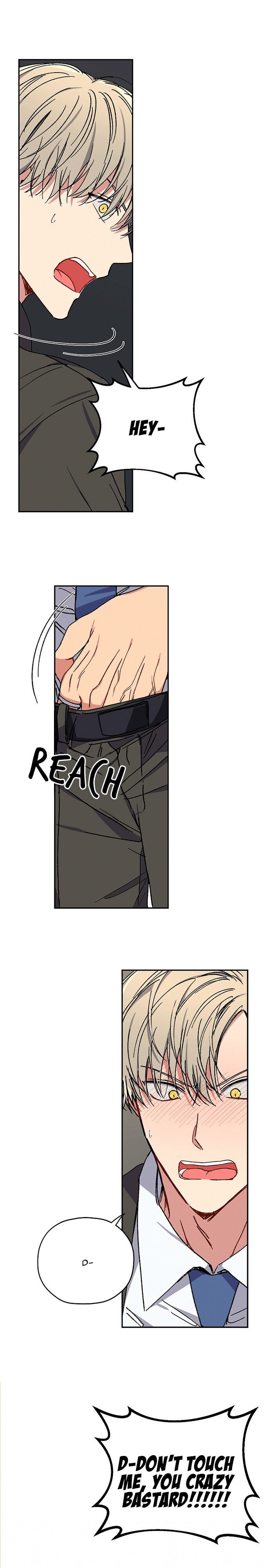 Page 17 of Chapter 29