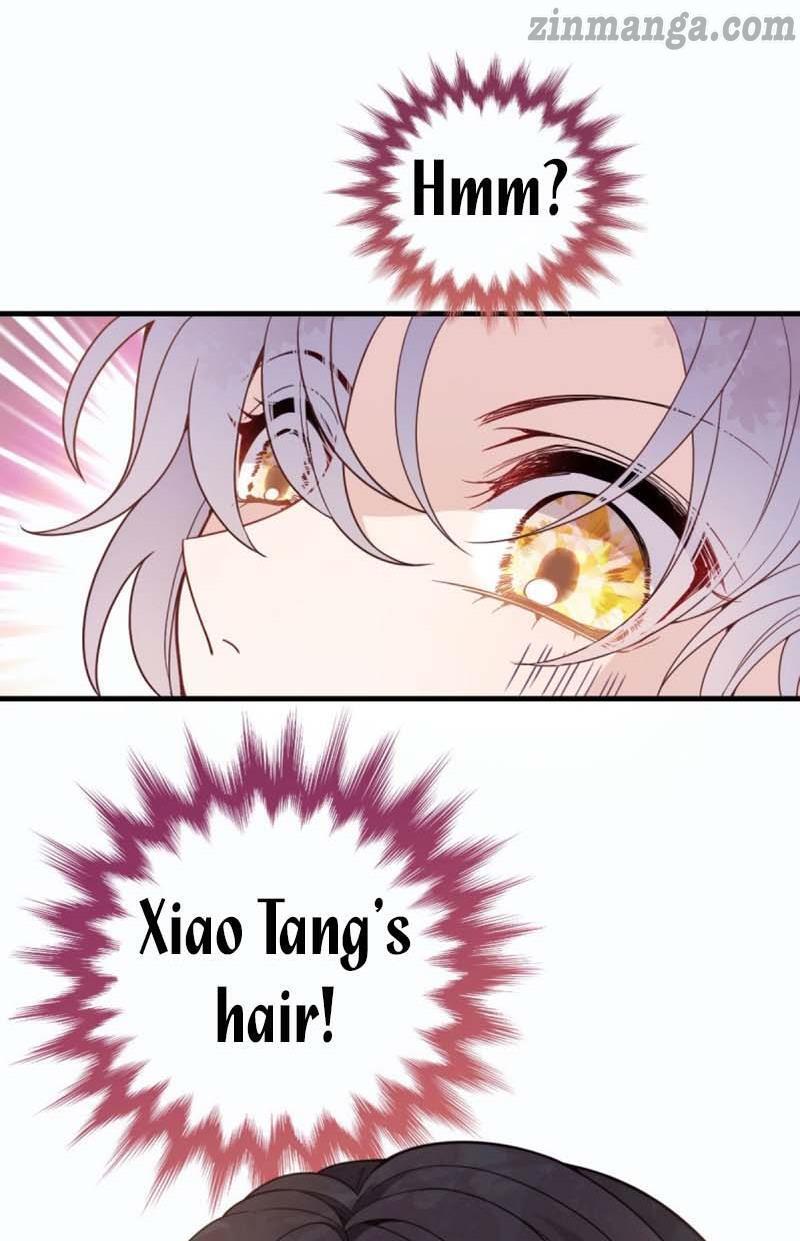 Page 41 of Chapter 28