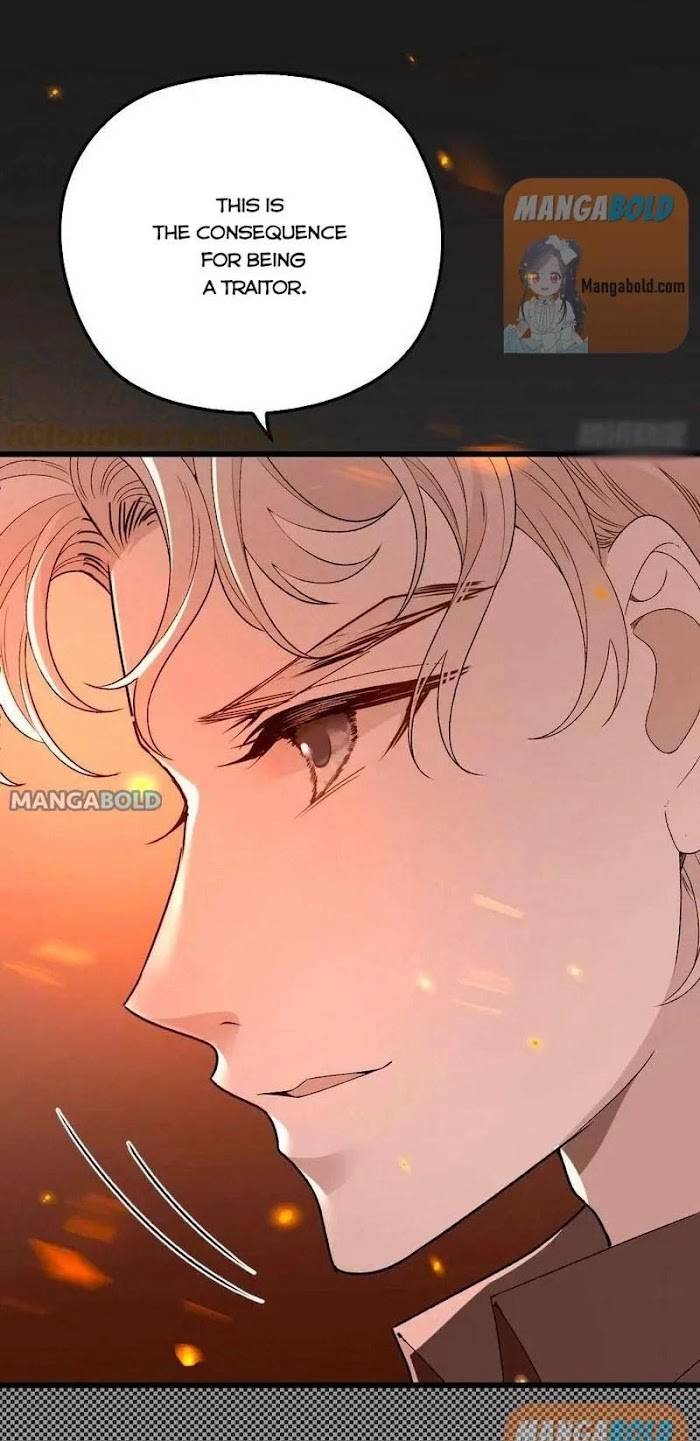 Page 12 of Chapter 95