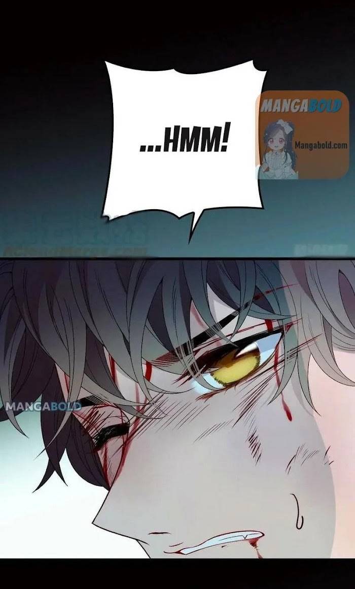 Page 19 of Chapter 95