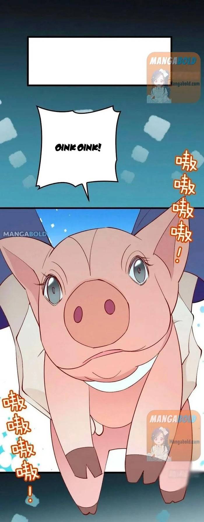 Page 13 of Chapter 96