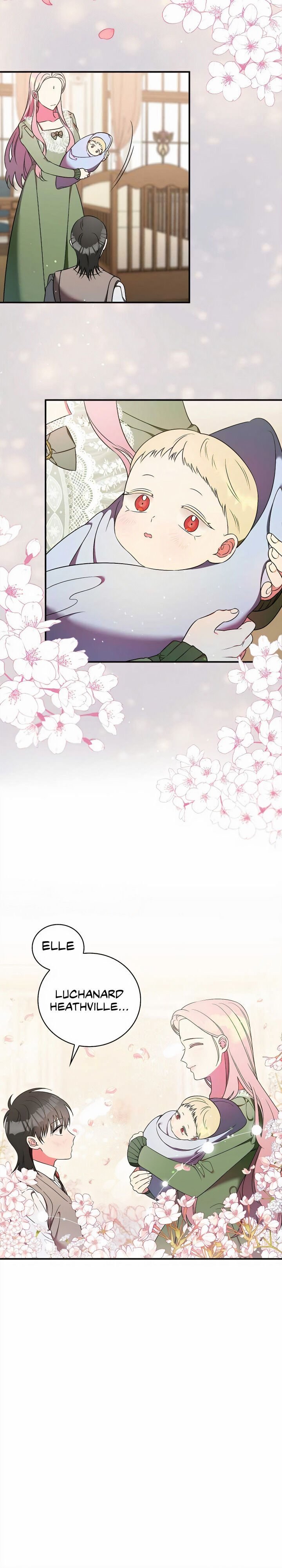 Page 15 of Chapter 11