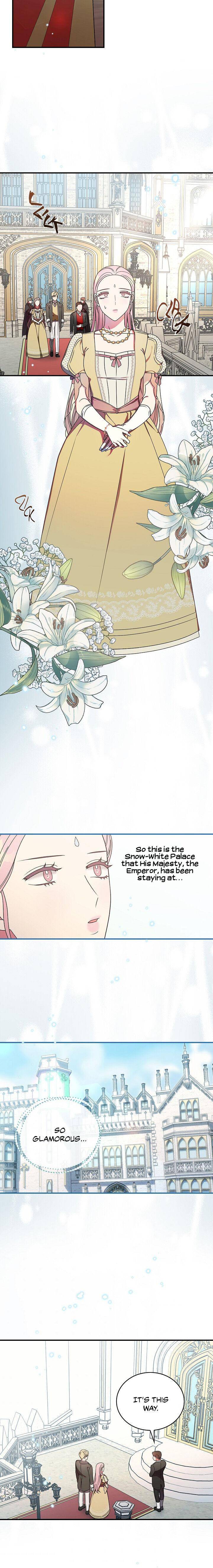 Page 17 of Chapter 25