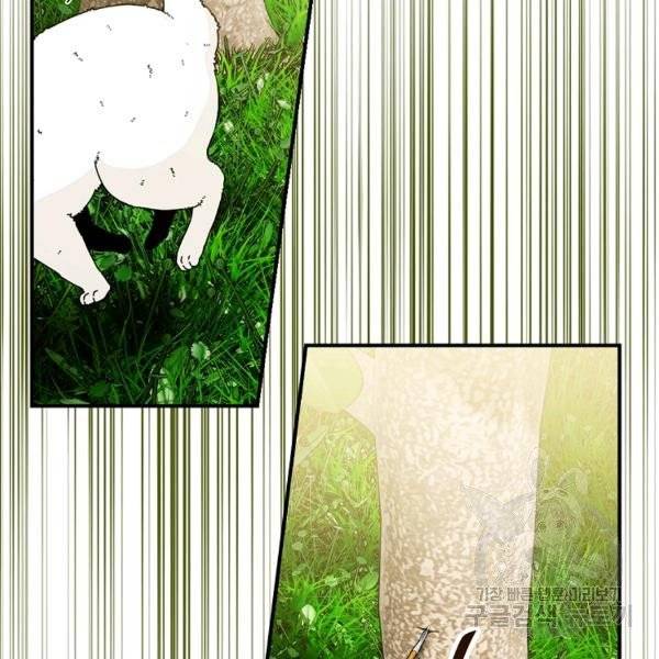 Page 19 of Chapter 37