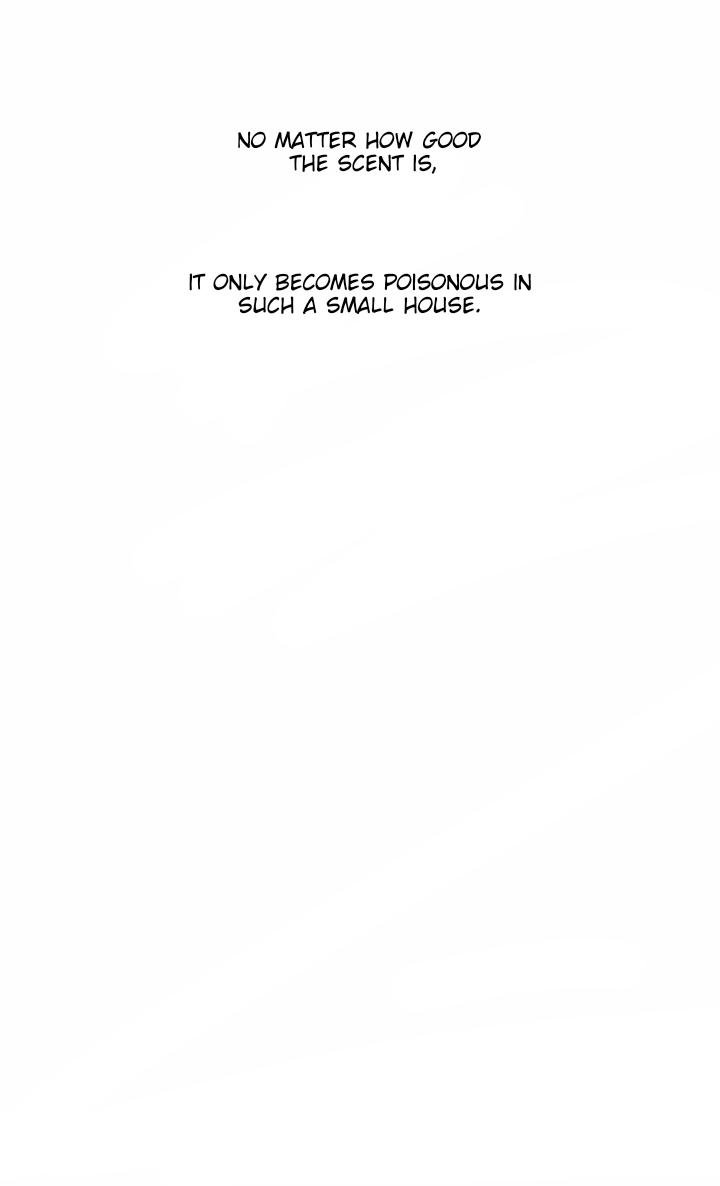 Page 41 of Chapter 12