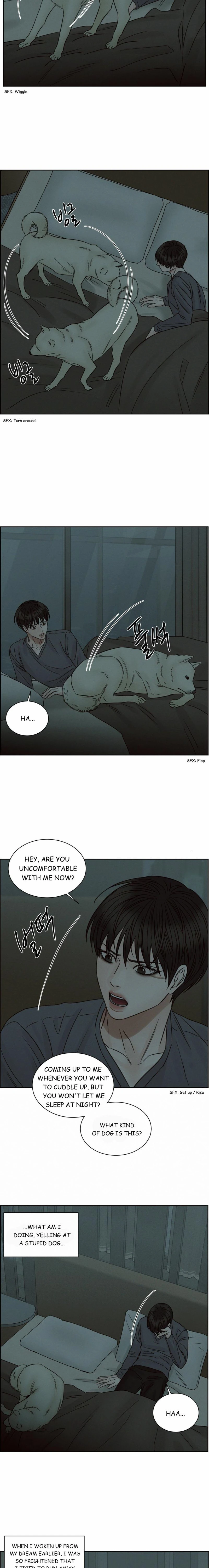 Page 3 of Chapter 62