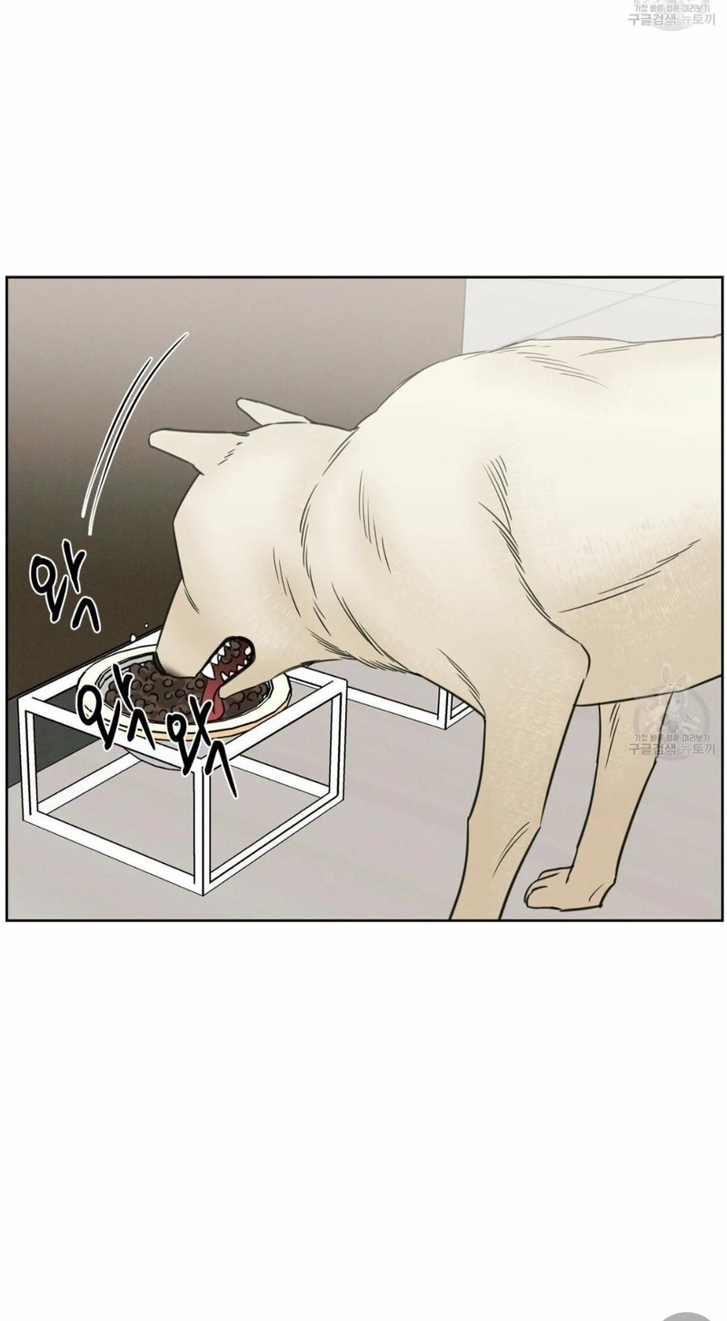 Page 41 of Chapter 66