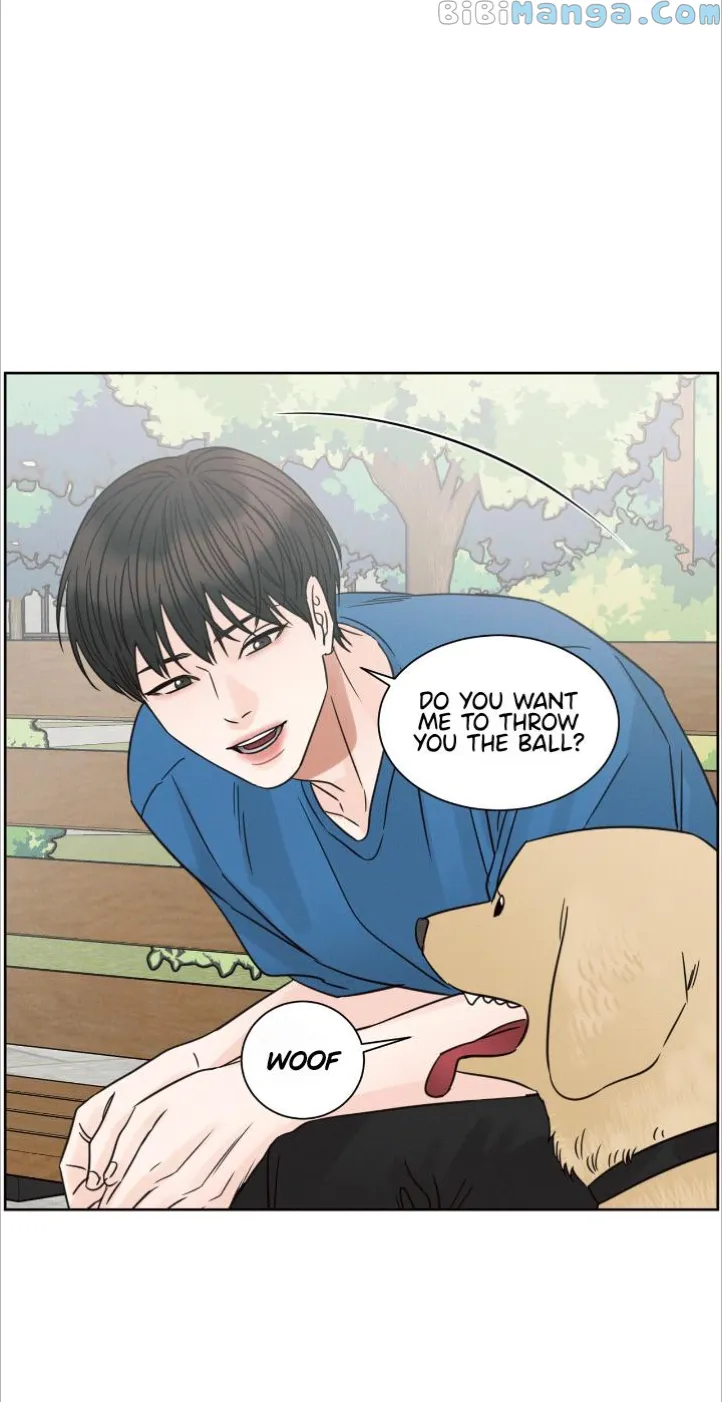 Page 15 of Chapter 91