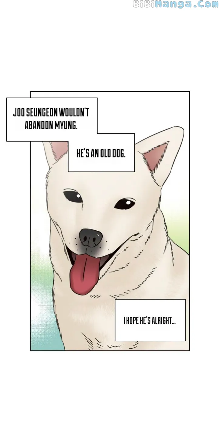 Page 19 of Chapter 91