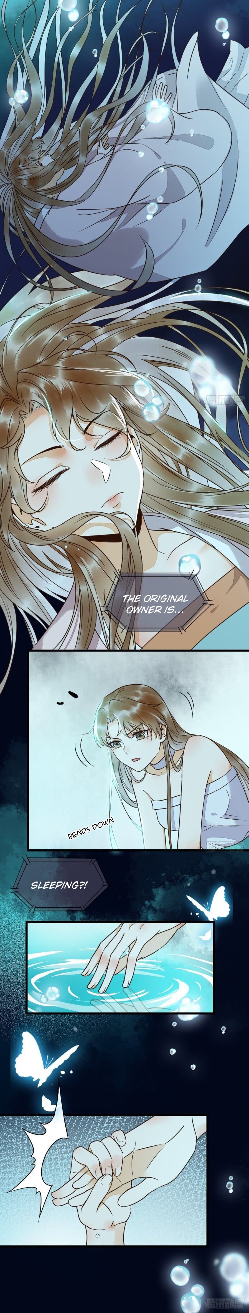 Page 13 of Chapter 20