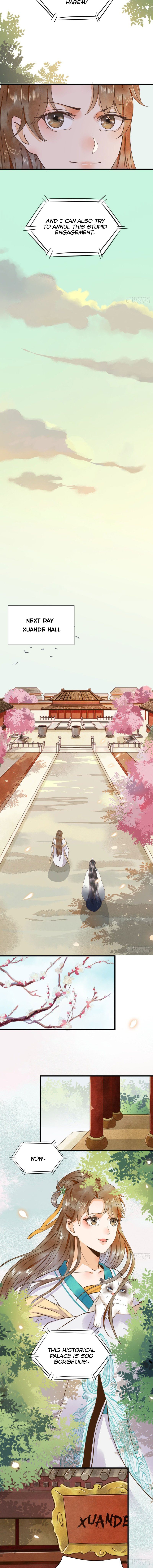 Page 5 of Chapter 5