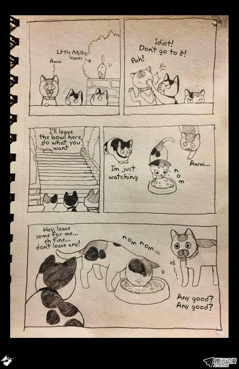 Page 13 of Chapter 102