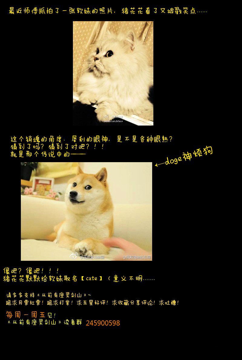 Page 13 of Chapter 28
