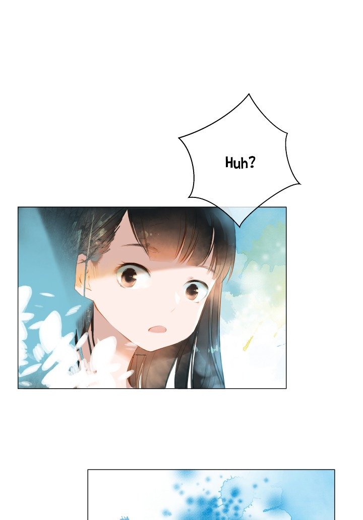 Page 13 of Chapter 11
