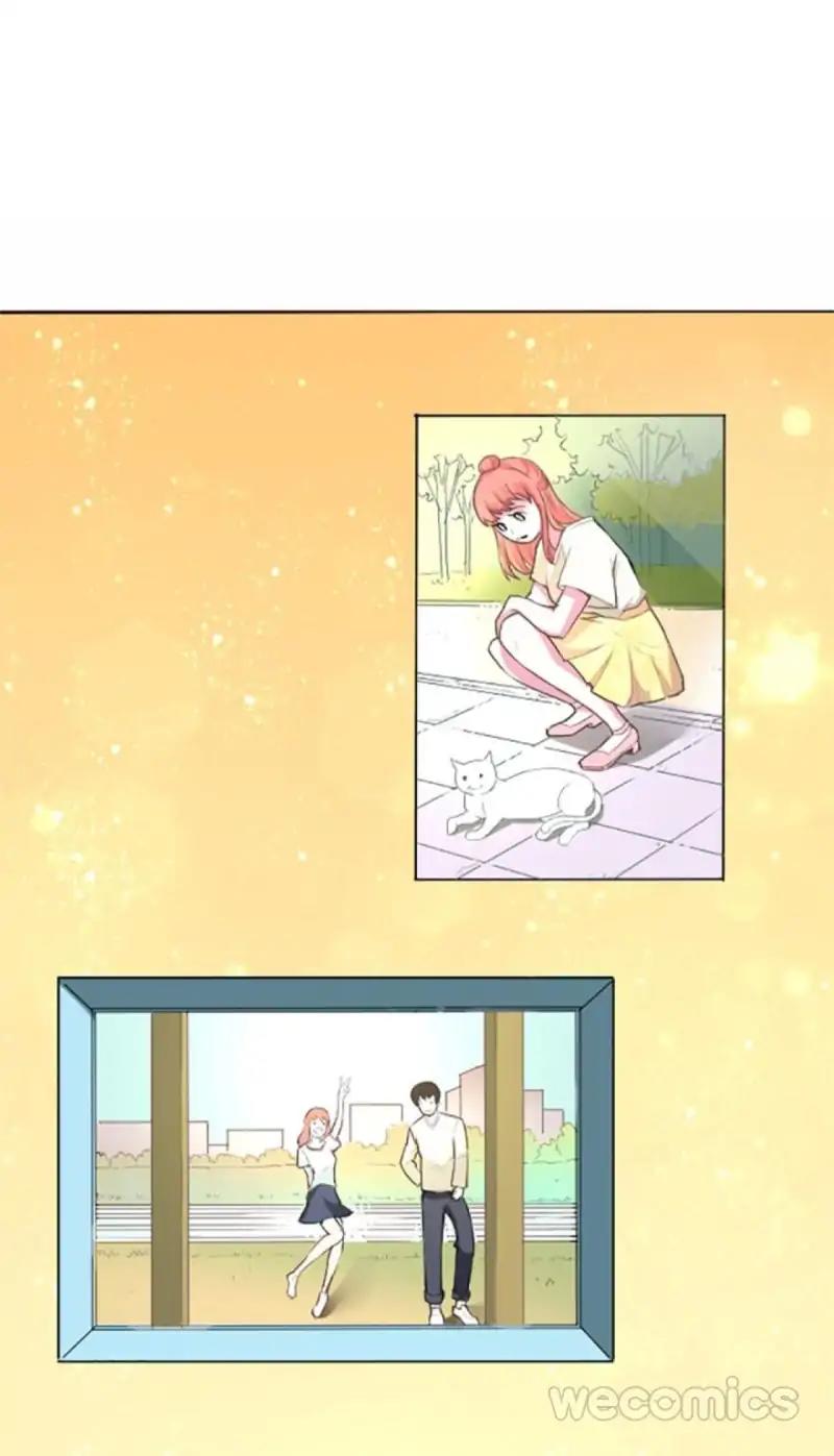 Page 8 of Chapter 3