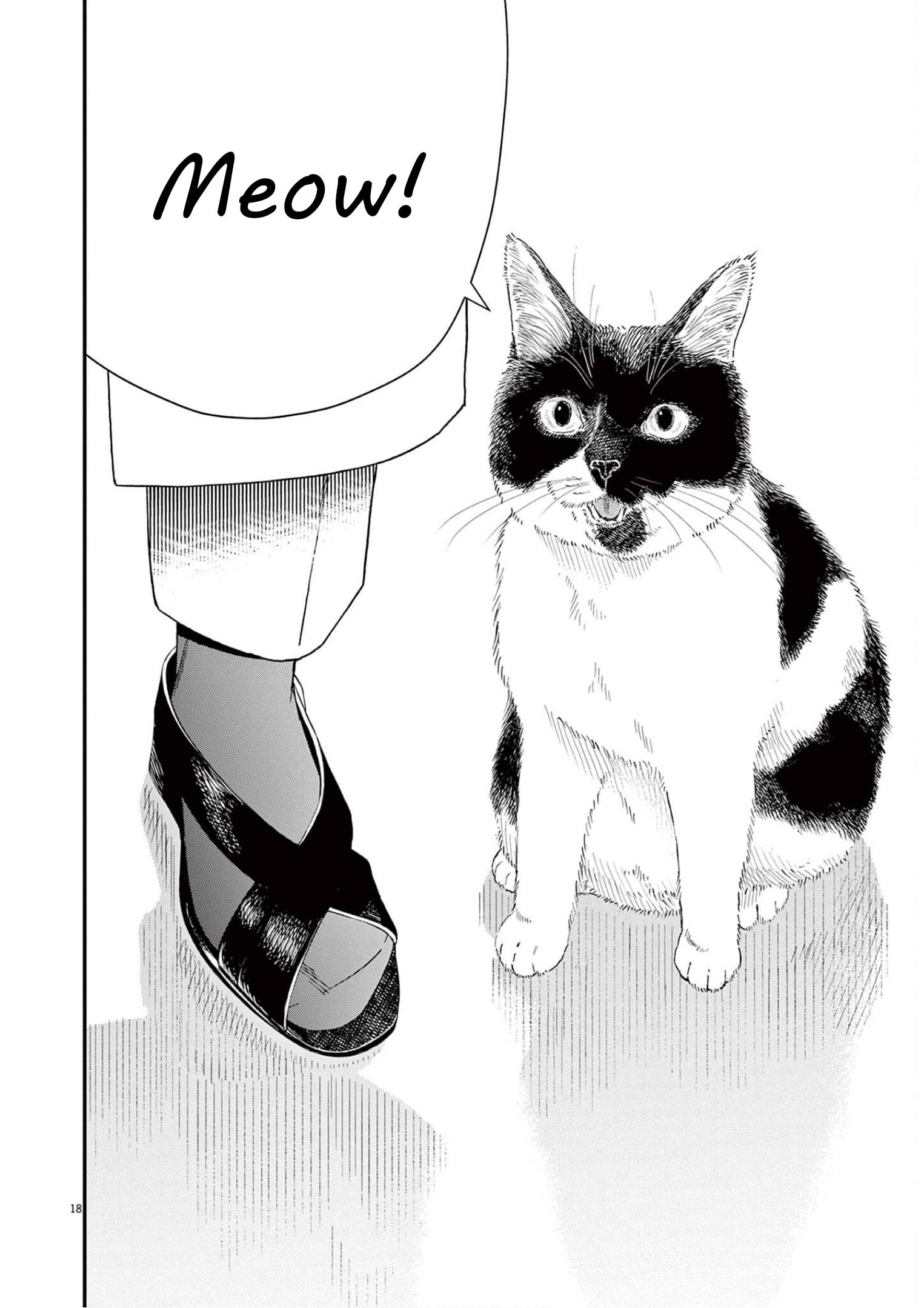 Page 18 of Chapter 104