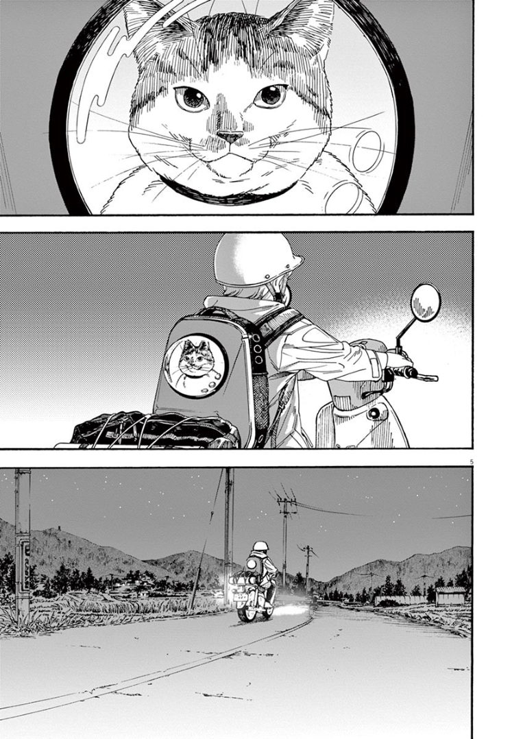 Page 5 of Chapter 12