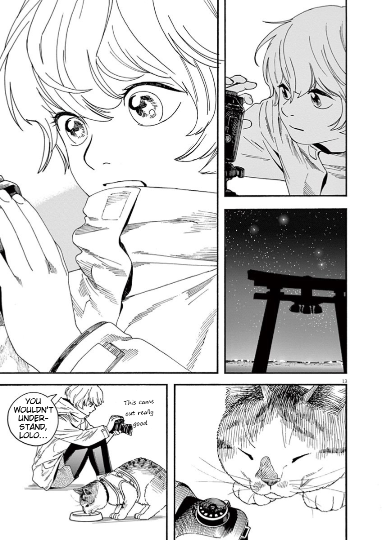 Page 13 of Chapter 12