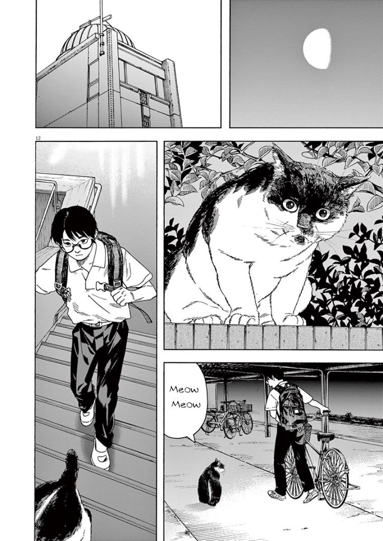 Page 12 of Chapter 30