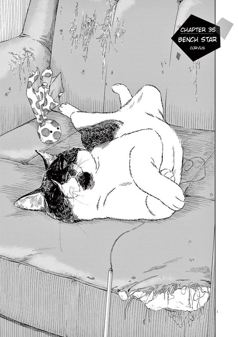 Page 1 of Chapter 35