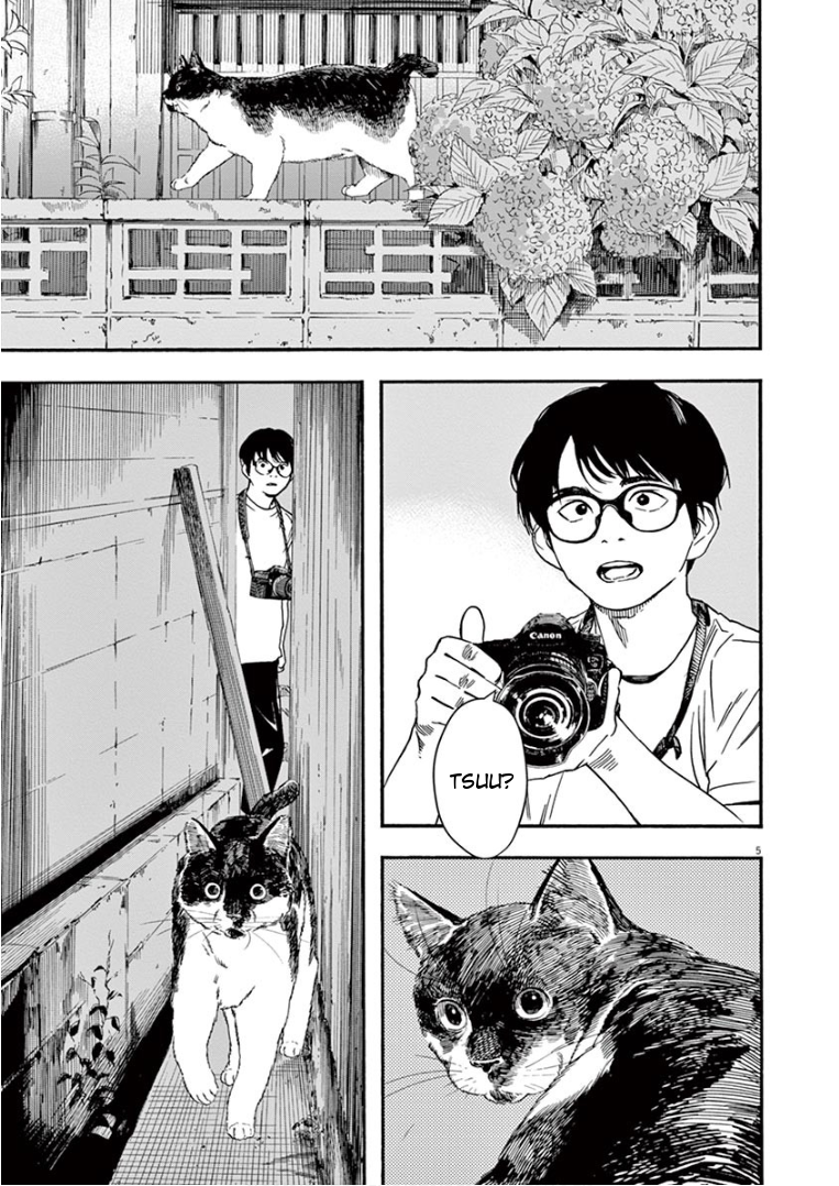 Page 5 of Chapter 39