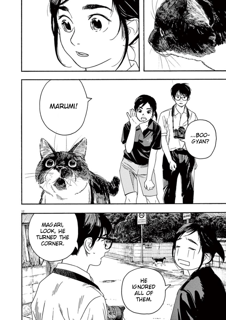Page 12 of Chapter 39