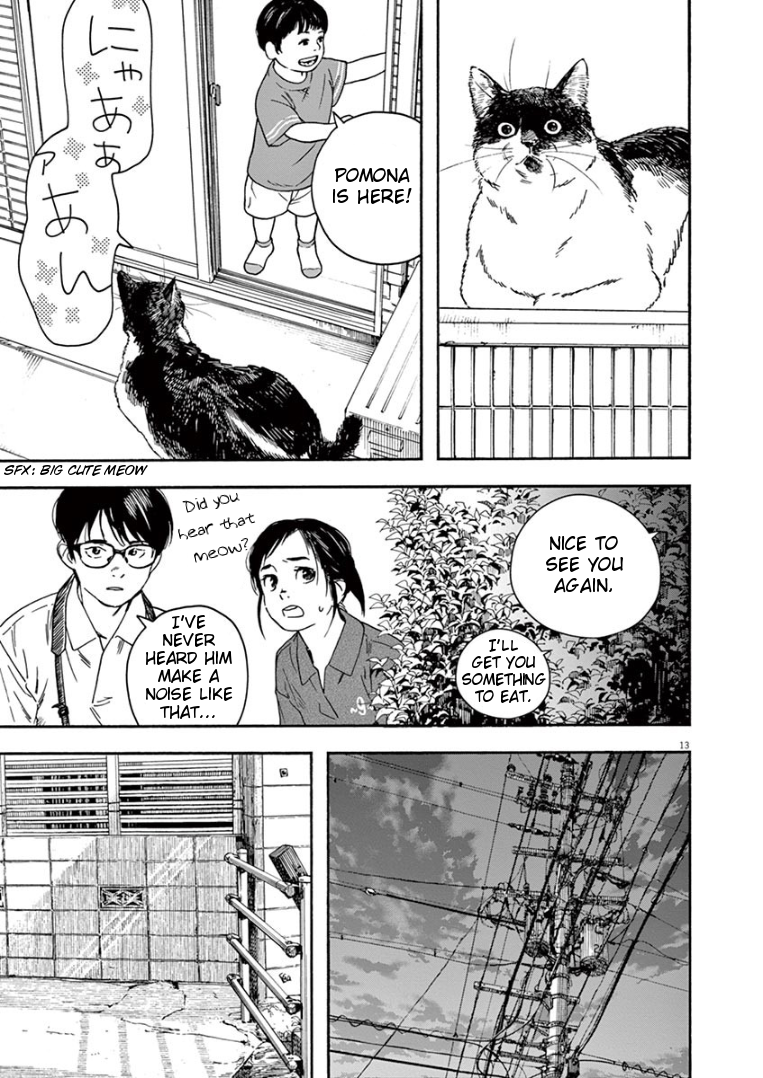 Page 13 of Chapter 39