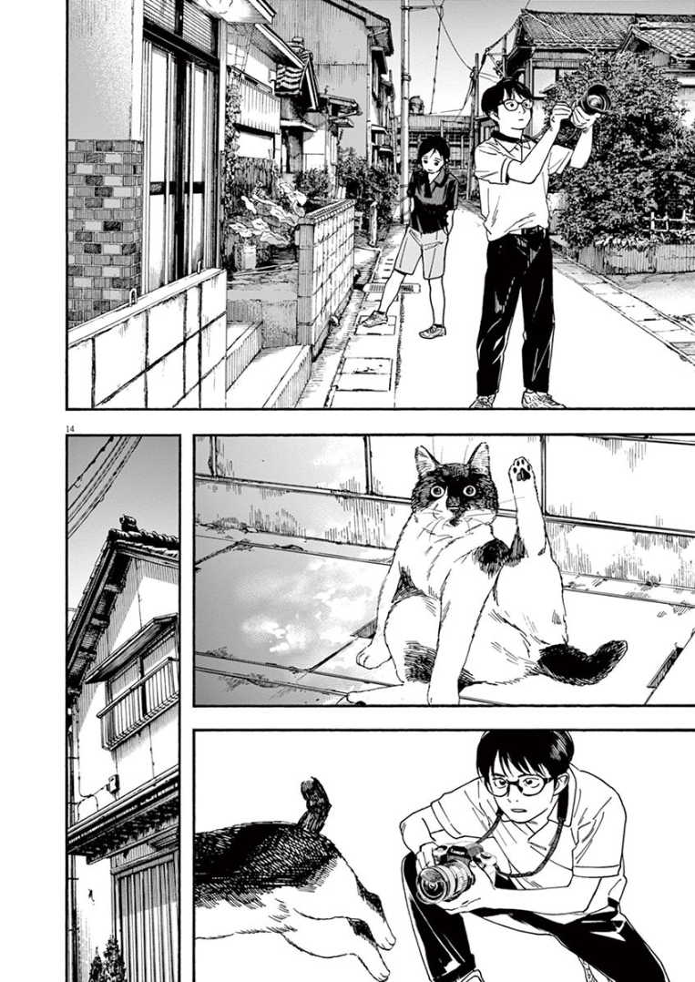 Page 14 of Chapter 39