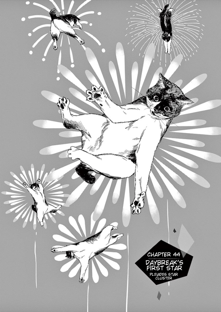 Page 1 of Chapter 44