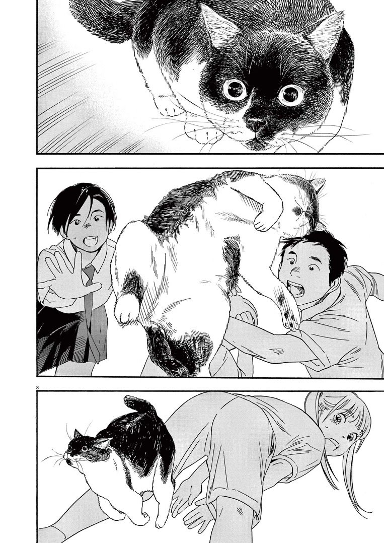 Page 8 of Chapter 62