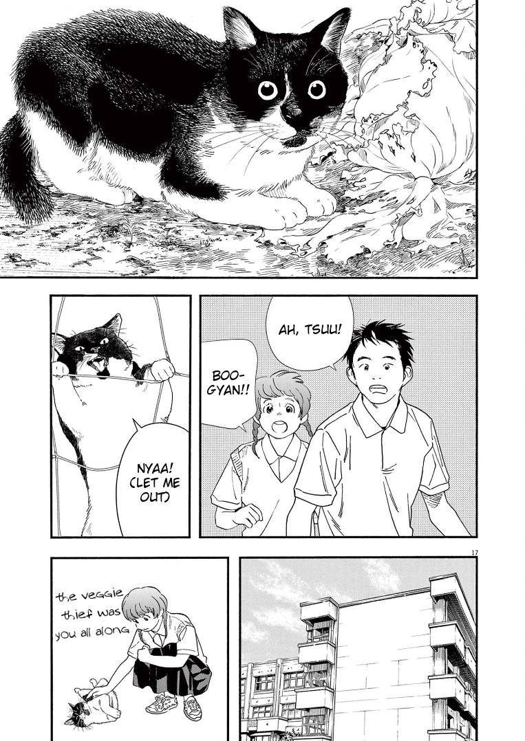 Page 17 of Chapter 67