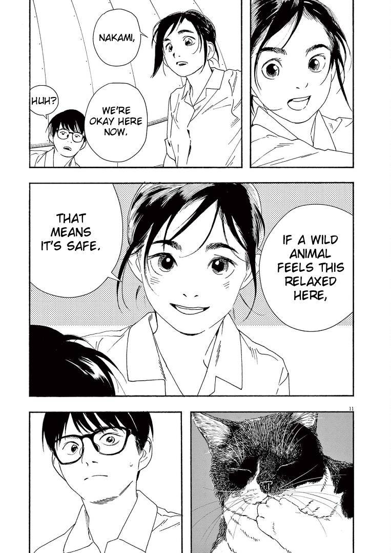 Page 11 of Chapter 72