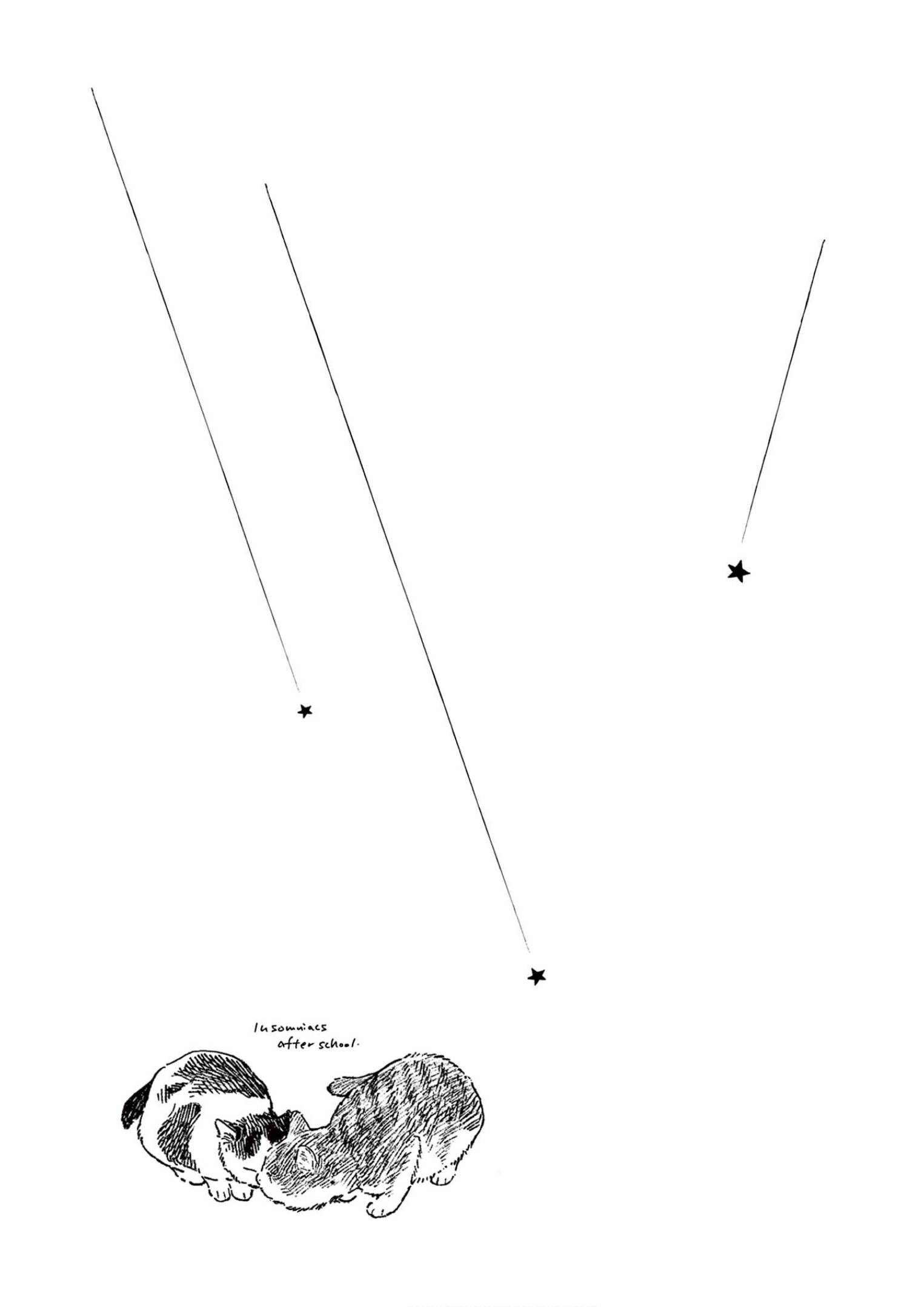 Page 21 of Chapter 95
