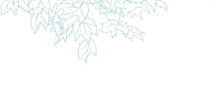 Page 21 of Chapter 81