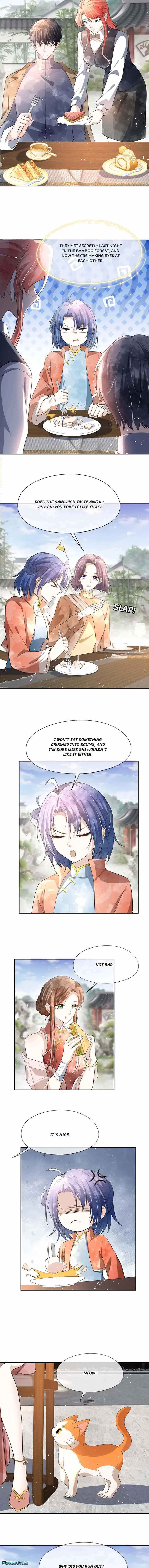 Page 3 of Chapter 312